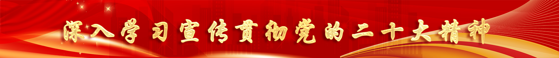 喜迎二十大，奮進新征程 